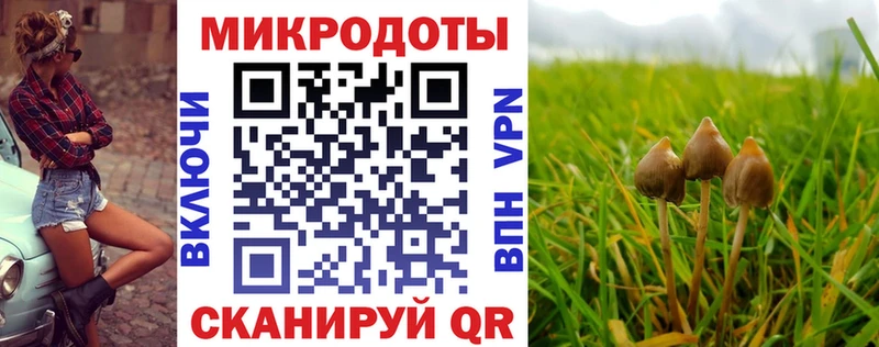 Псилоцибиновые грибы Magic Shrooms  Купить закладки  Жиздра 
